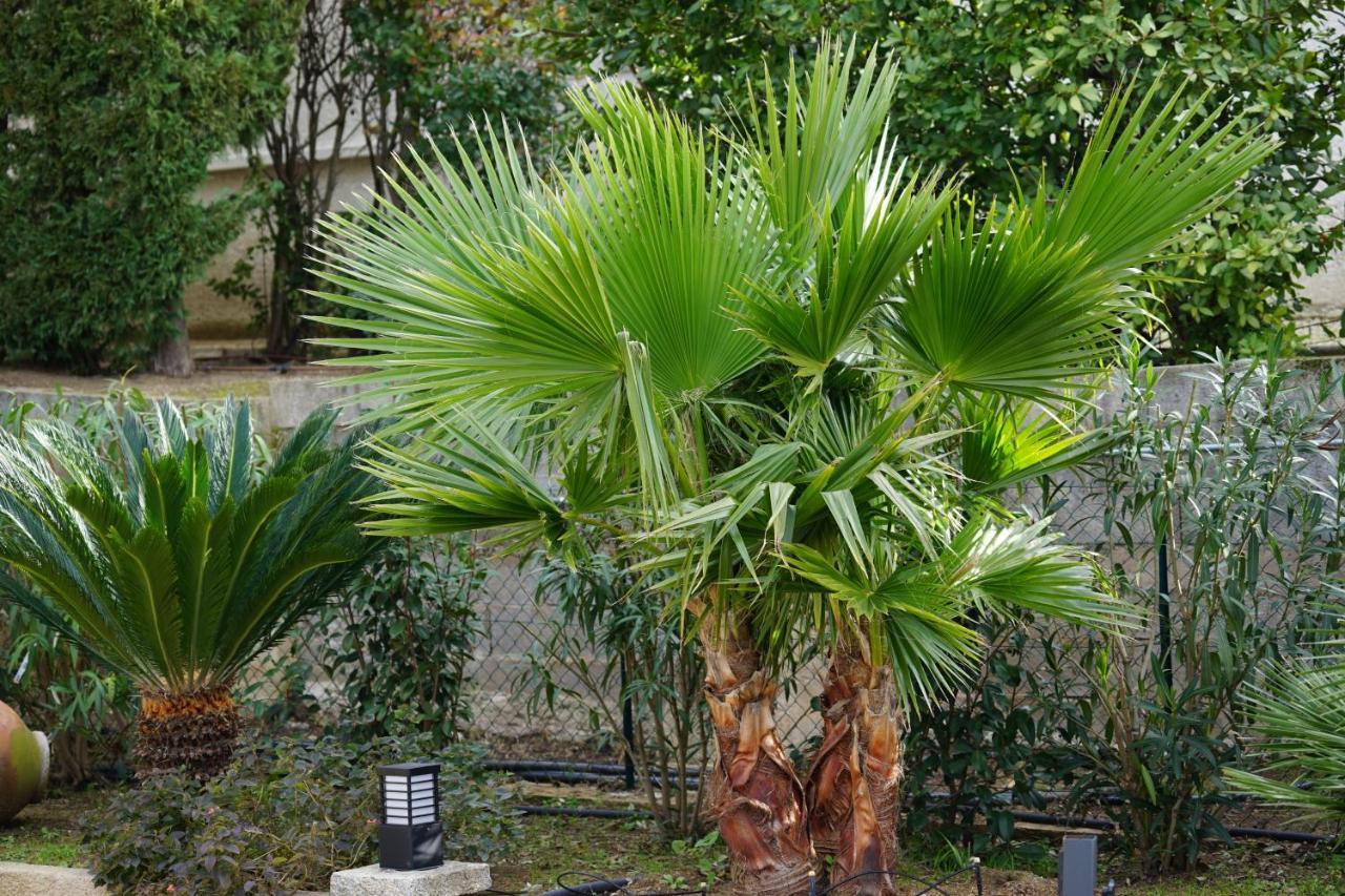 Villa Les Cades サント・マキシム エクステリア 写真